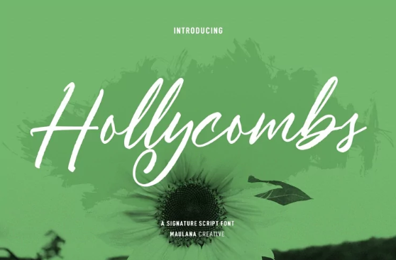[Fontbundles] Hollycombs Script Font (2022)_0.png